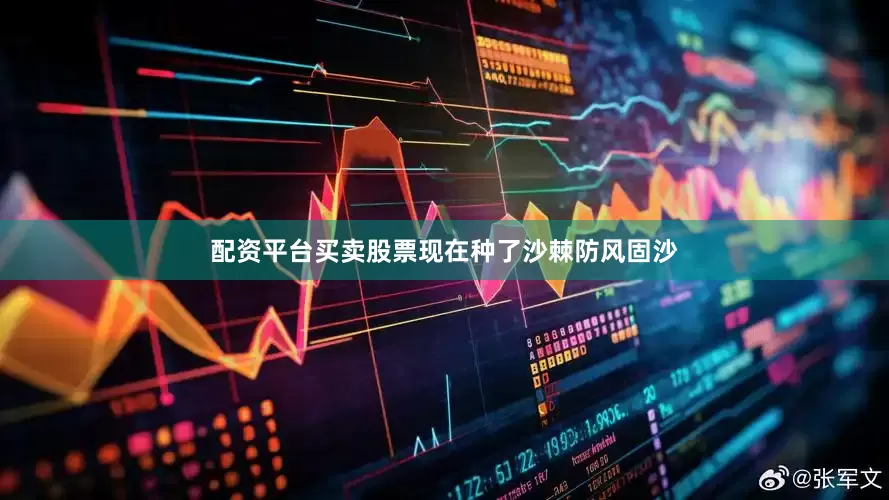 配资平台买卖股票现在种了沙棘防风固沙